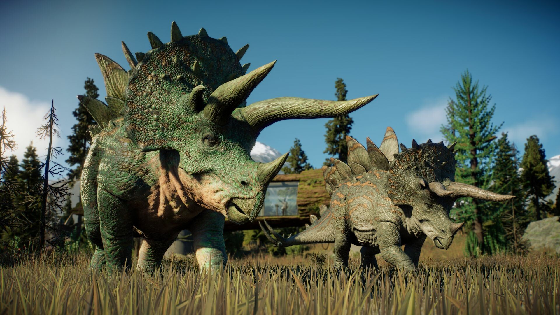 e55012079db2e049aaa7a37fea4c7071