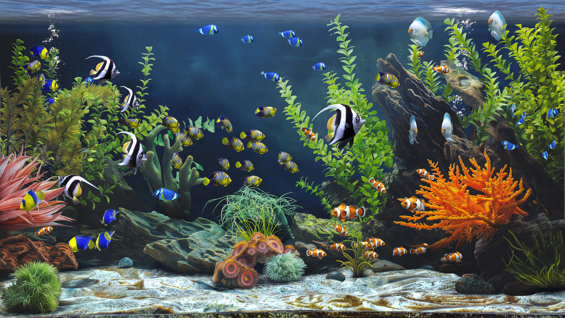 ss_27ae73859f93d0ed34bb92c89715de220c48ab50.1920x1080