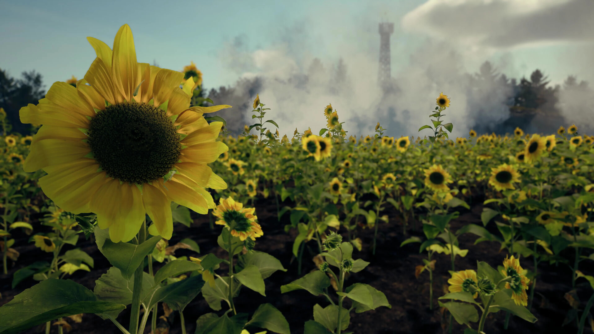 ss_728472966ee8e2697452f5a981ae9dafbe1dd332.1920x1080