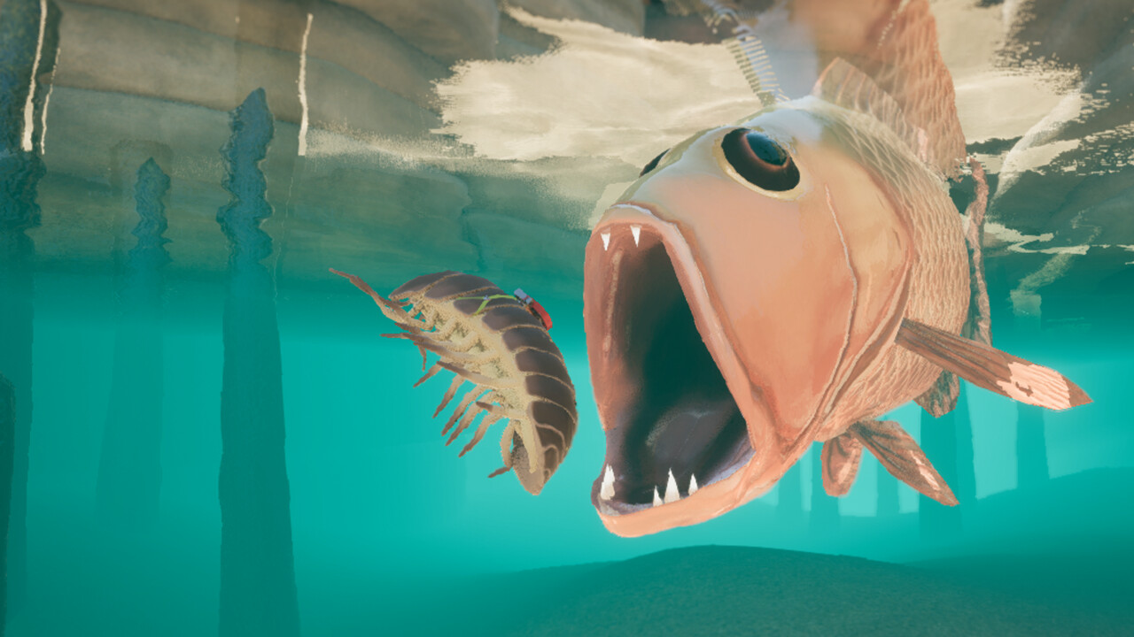 ss_737af049a196e786e2934508d0696a41778a3abd.1920x1080