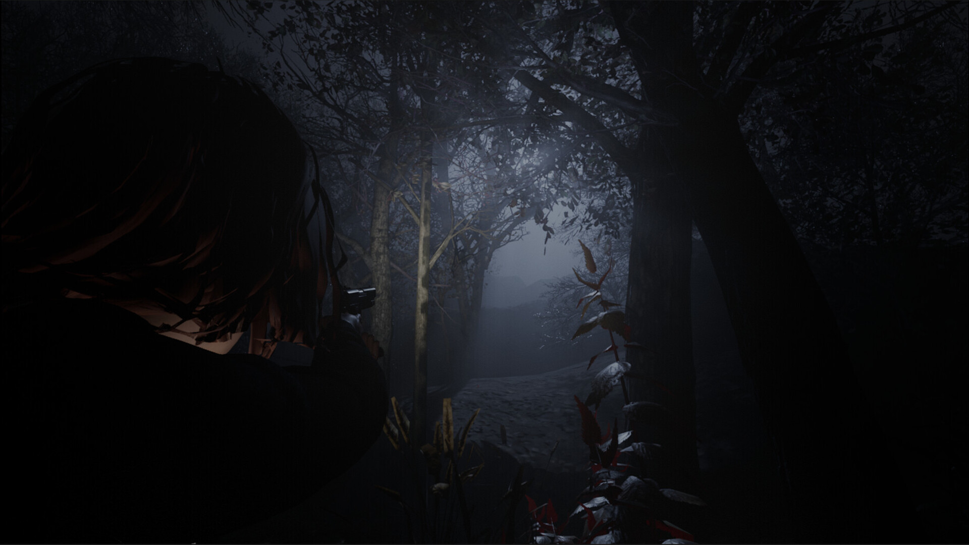 ss_ebfc2b6a74fcdded3ca77fad33aca1c03ccbae9a.1920x1080