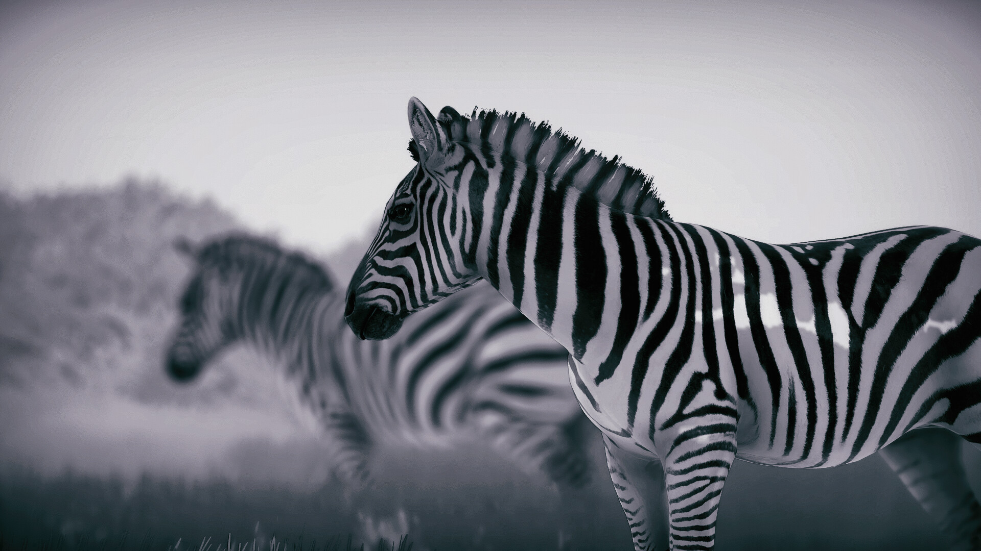 ss_8bf1bb8069b6919ce43ea03fb5555756fcfd6202.1920x1080