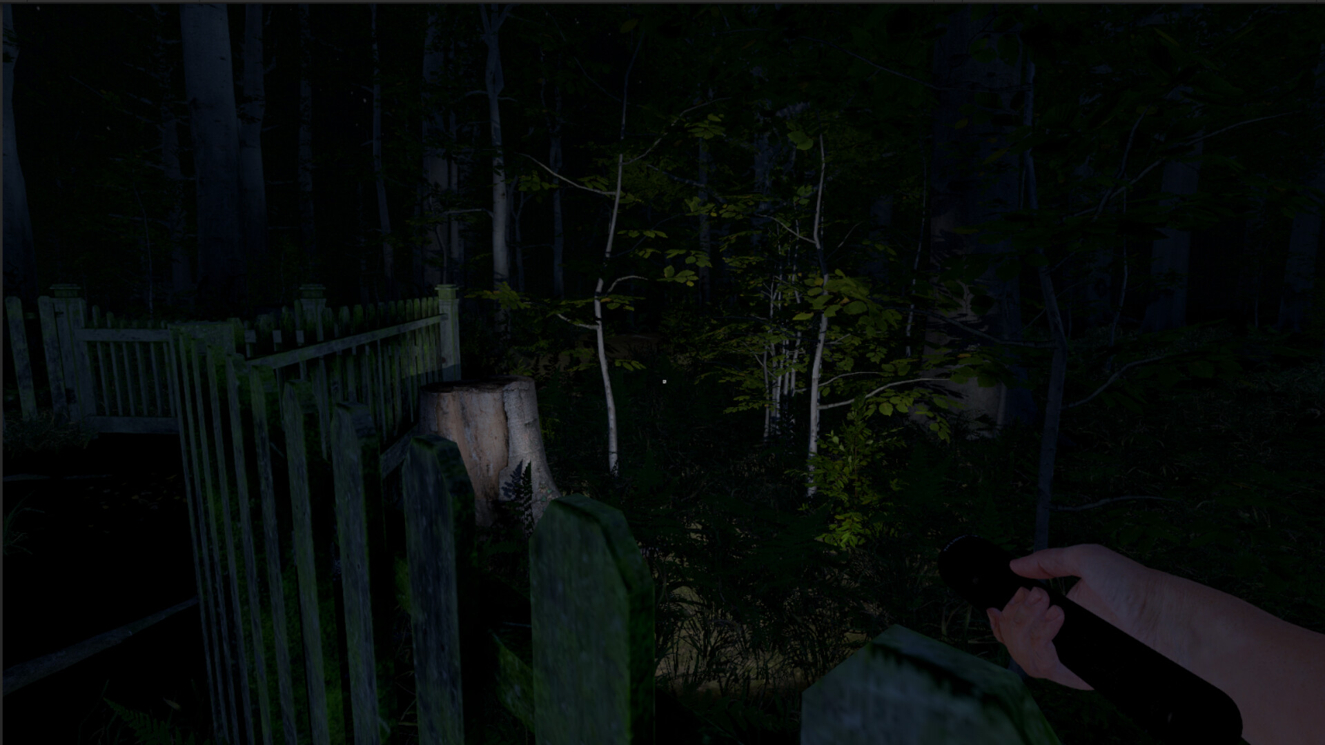 ss_d5fc0aee8d4459b2b68a2080c759a96e7abd968d.1920x1080