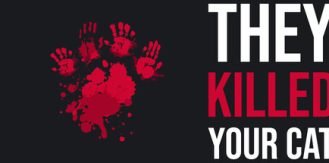 《他们杀了你的猫 》 They Killed Your Cat-未玩VIGAME